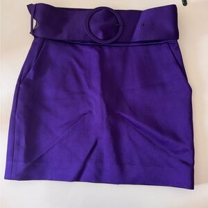 ZARA Limited Edition Belted Mini Skirt